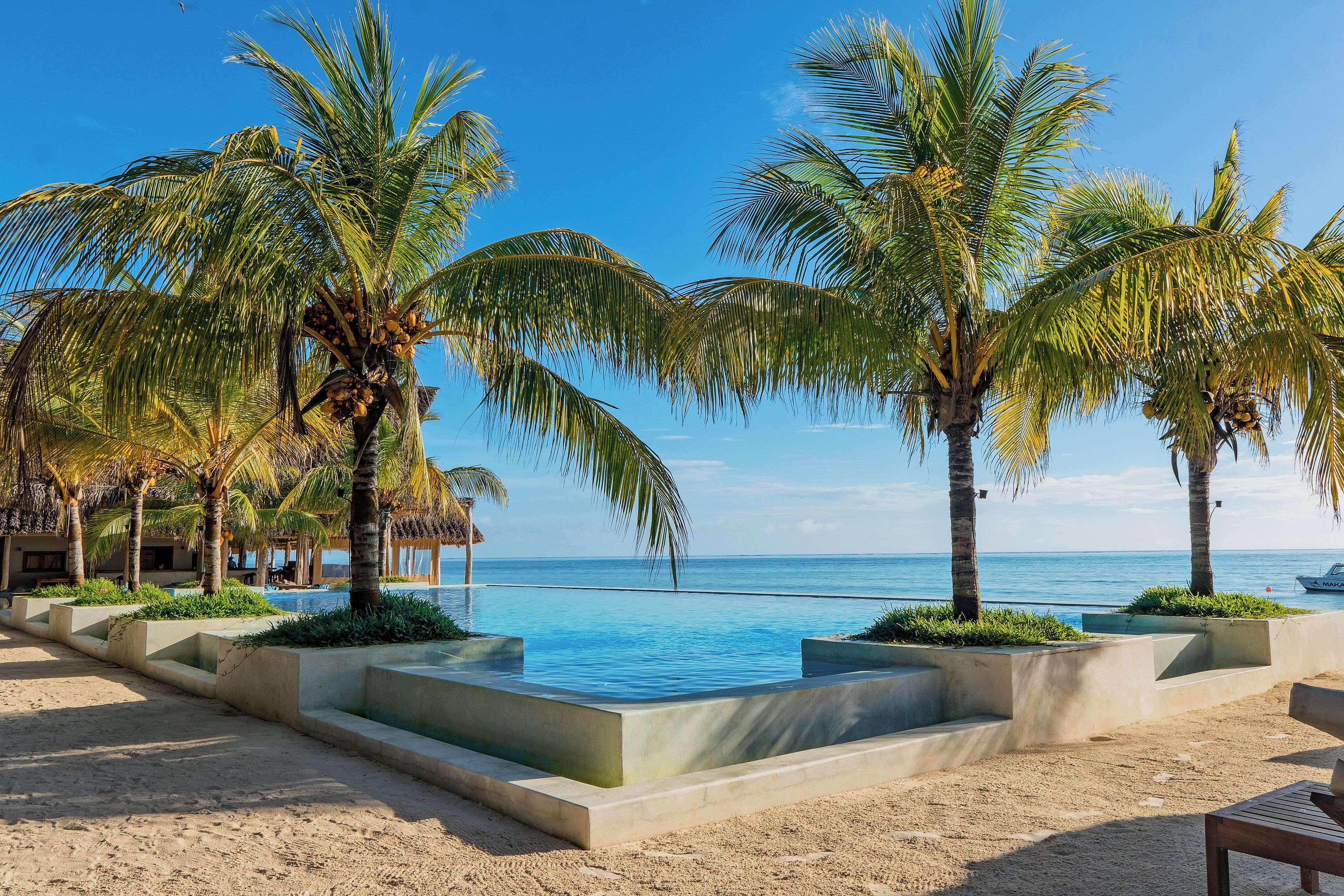 Un resort con piscina, palmeras y vistas al océano.