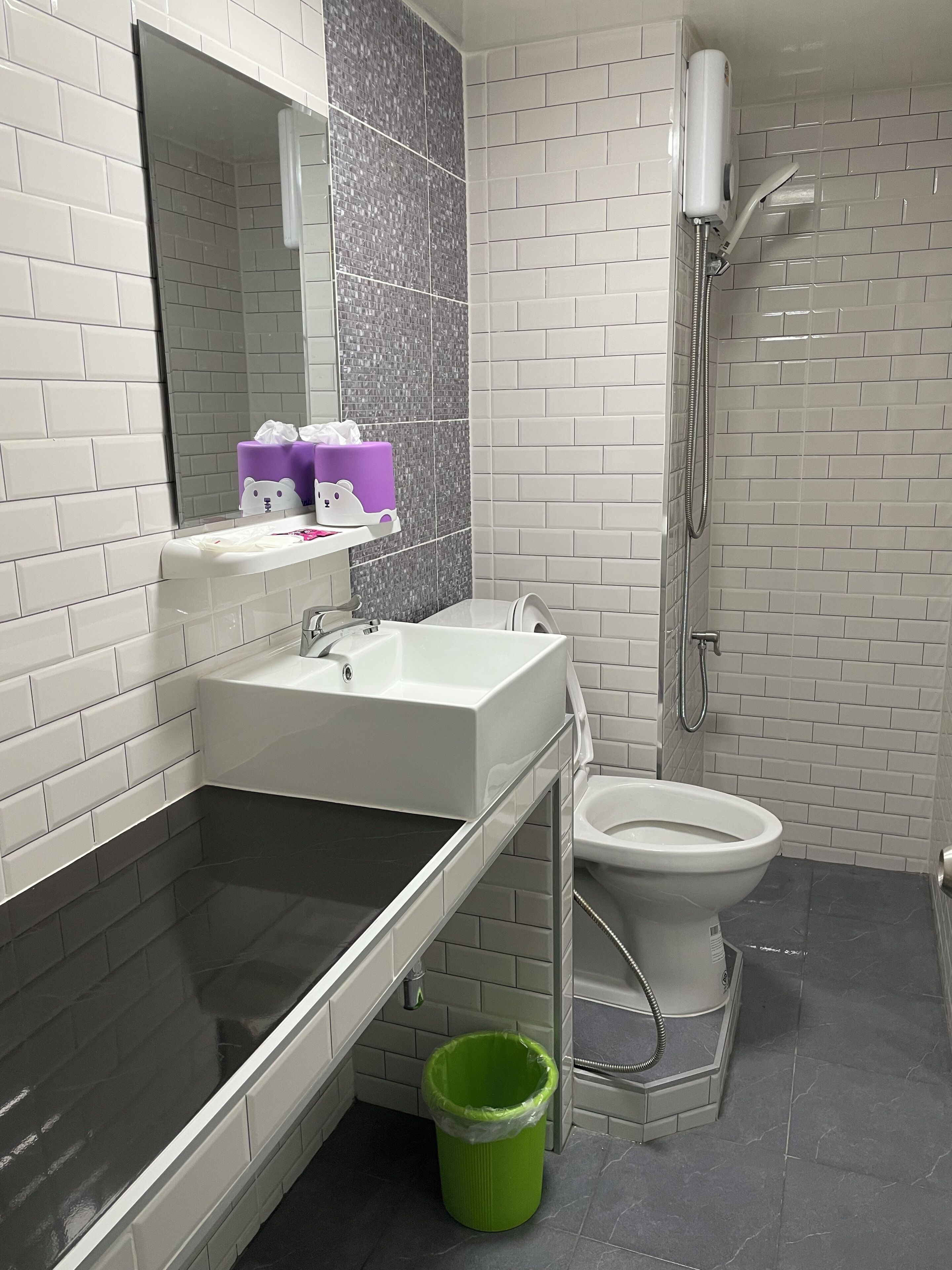 A modern bathroom with a white sink, a toilet, and a shower.