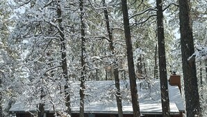 Una cabaña de troncos rodeada de árboles cubiertos de nieve.