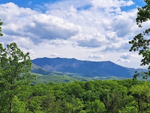 Paisagem montanhosa com florestas verdes densas e céu claro.