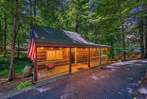 A rustic cabin with a metal roof, a porch, and an American flag.