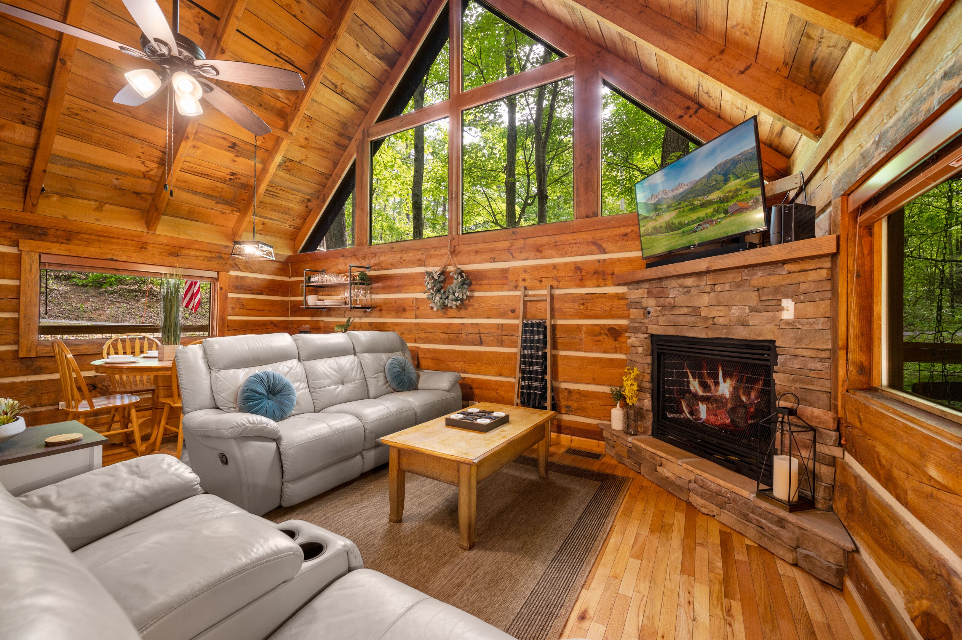 Smart TV, fireplace, books, stereo