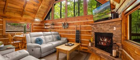 Smart TV, fireplace, books, stereo