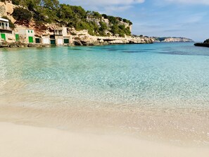 Plage à proximité, sable blanc, navette pour la plage, beach-volley