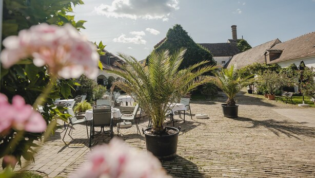 Une cour avec des espaces de repos en plein air, des plantes en pot et un bâtiment doté d’un toit recouvert de tuiles.