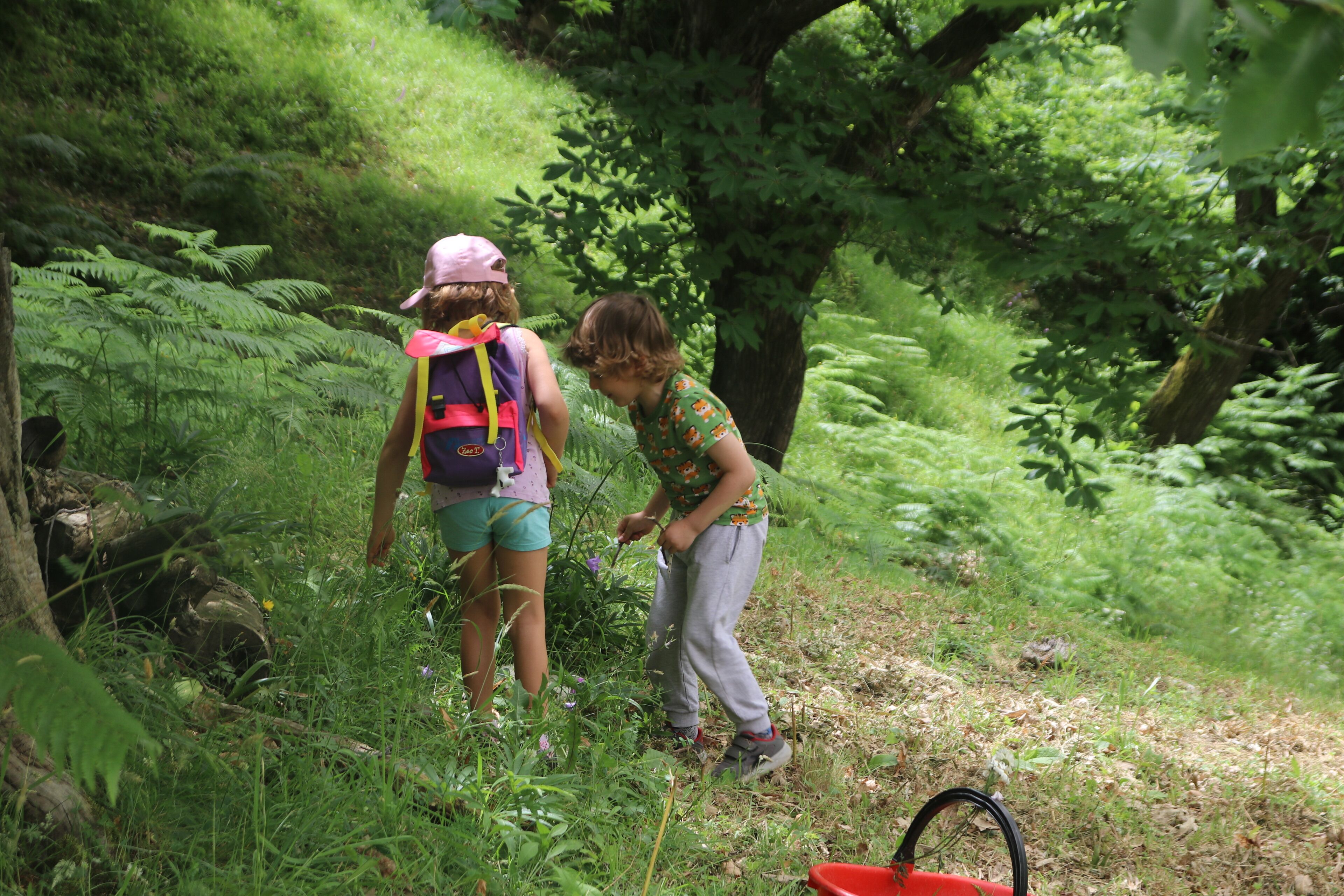 Two people in a forested area with a red bucket on the ground.