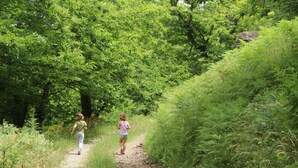 A narrow path in a forested area with dense greenery on both sides. - Agriturismo Il regno del marrone (Castel del Rio)