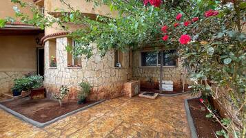 Terrein van de accommodatie