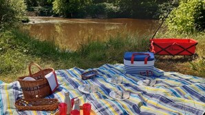 A picnic setup with a blanket, basket, cooler, and food items by a river. - Gîte Familial « Le Rivallier » Près des Bords de Lallier (Joze)