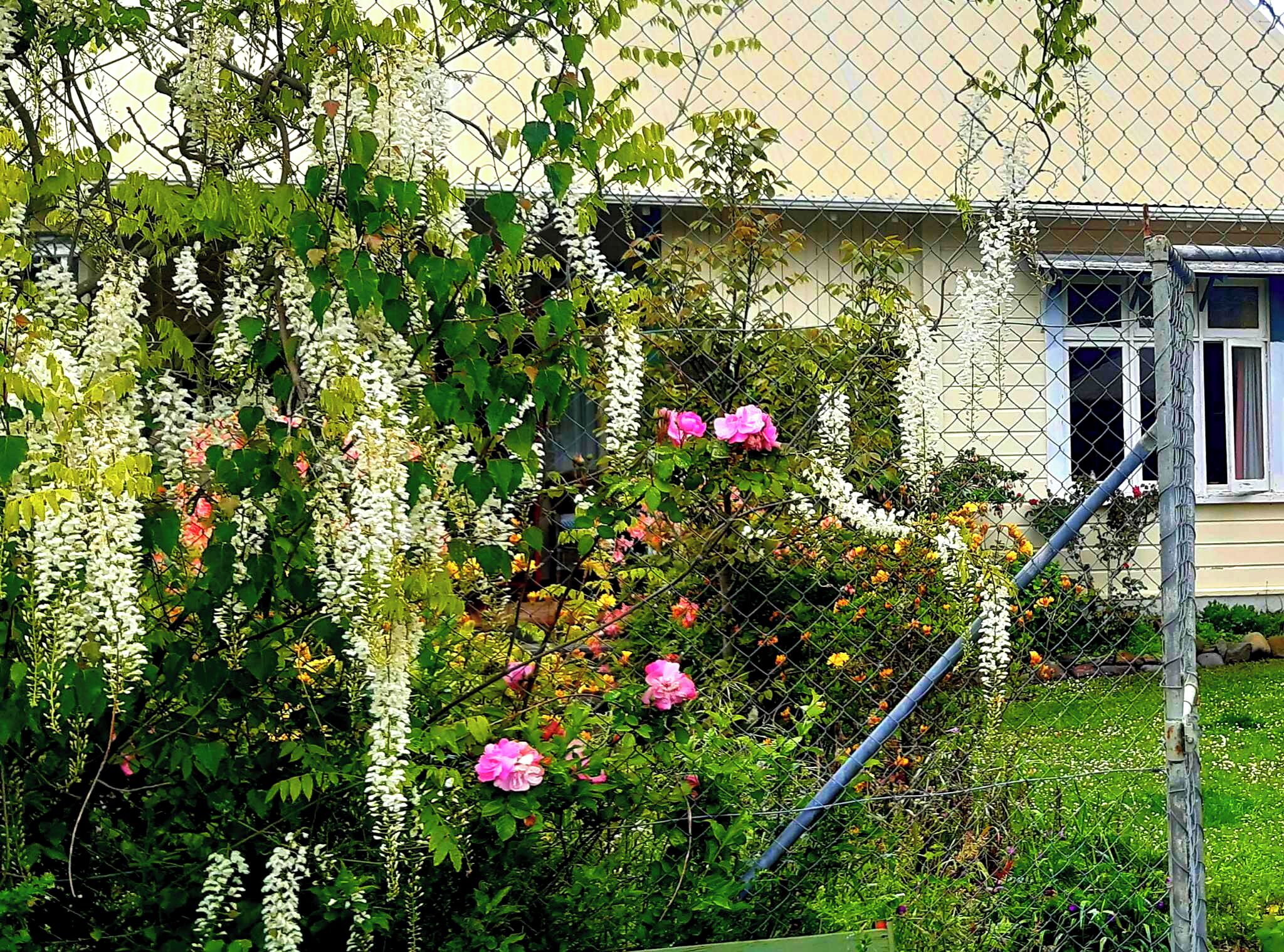 Detalle exterior