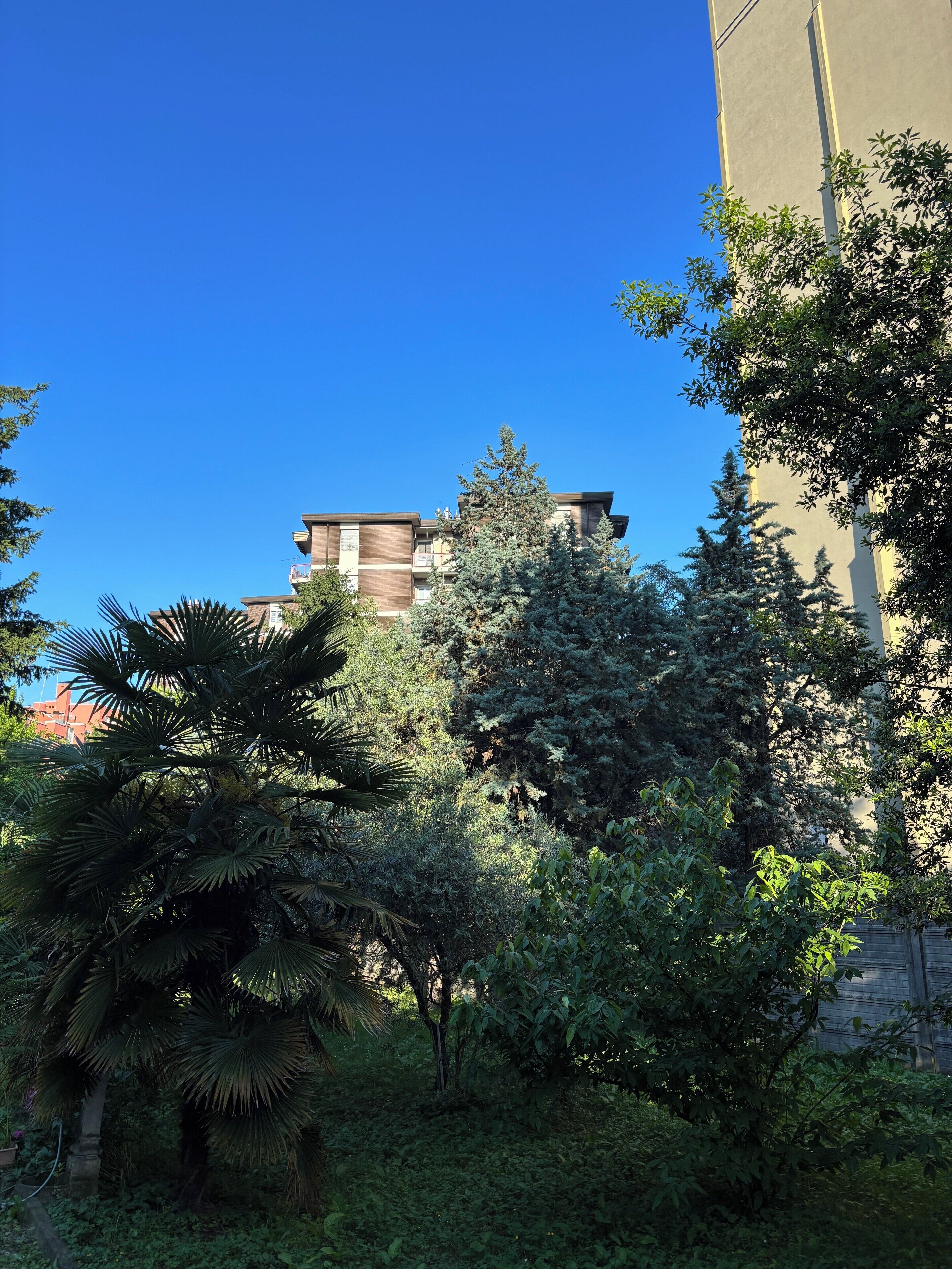 Truy cập Internet không dây miễn phí, bộ trải giường 