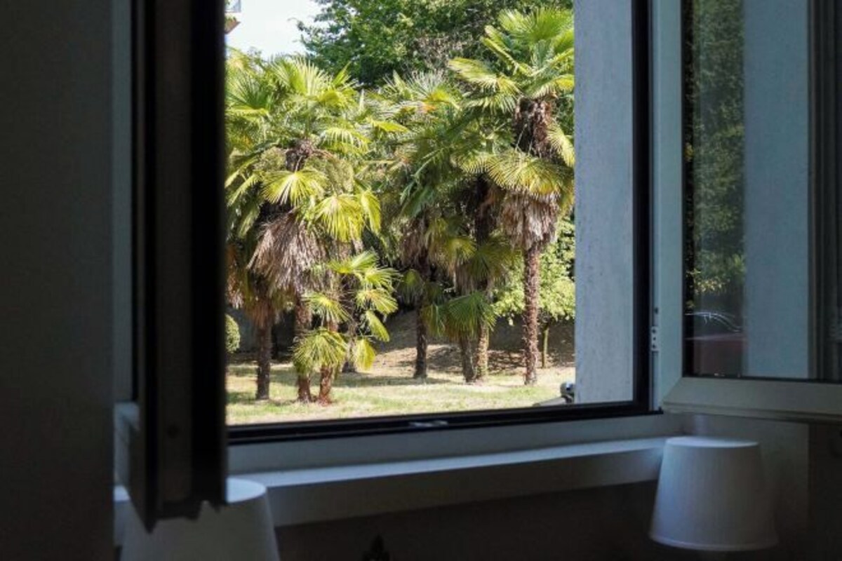 A window with a view of palm trees and a grassy area outside.