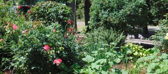 Cozy Little Cabin on the Farm
