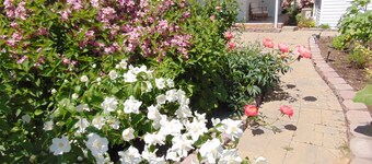 Cozy Little Cabin on the Farm