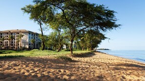 A beachfront hotel with a sandy beach, palm trees, and a clear view of the sea.