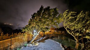 Una vista nocturna de un árbol con barandilla metálica y un sendero de piedra.