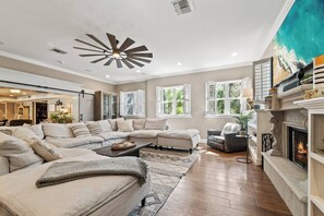 TV, fireplace, video game console, ping pong