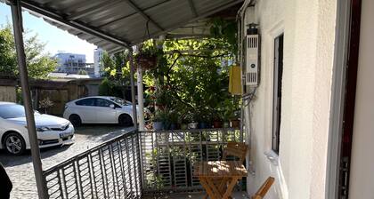 Cute house on the banks of the Rioni