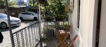 Cute house on the banks of the Rioni