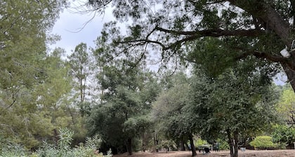 Spacious nature retreat w fruit orchard & mountain views, near downtown Pasadena