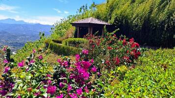 DĂ©tail de lâextĂ©rieur