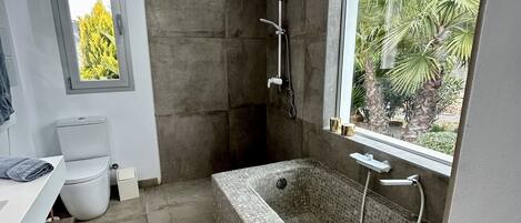 Shower, hair dryer, towels, soap