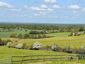 Een landelijk landschap met glooiende groene velden, verspreide bomen en een vergezicht van een klein dorp.