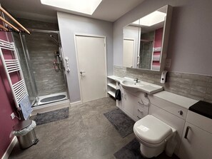 Shower, towels, toilet paper