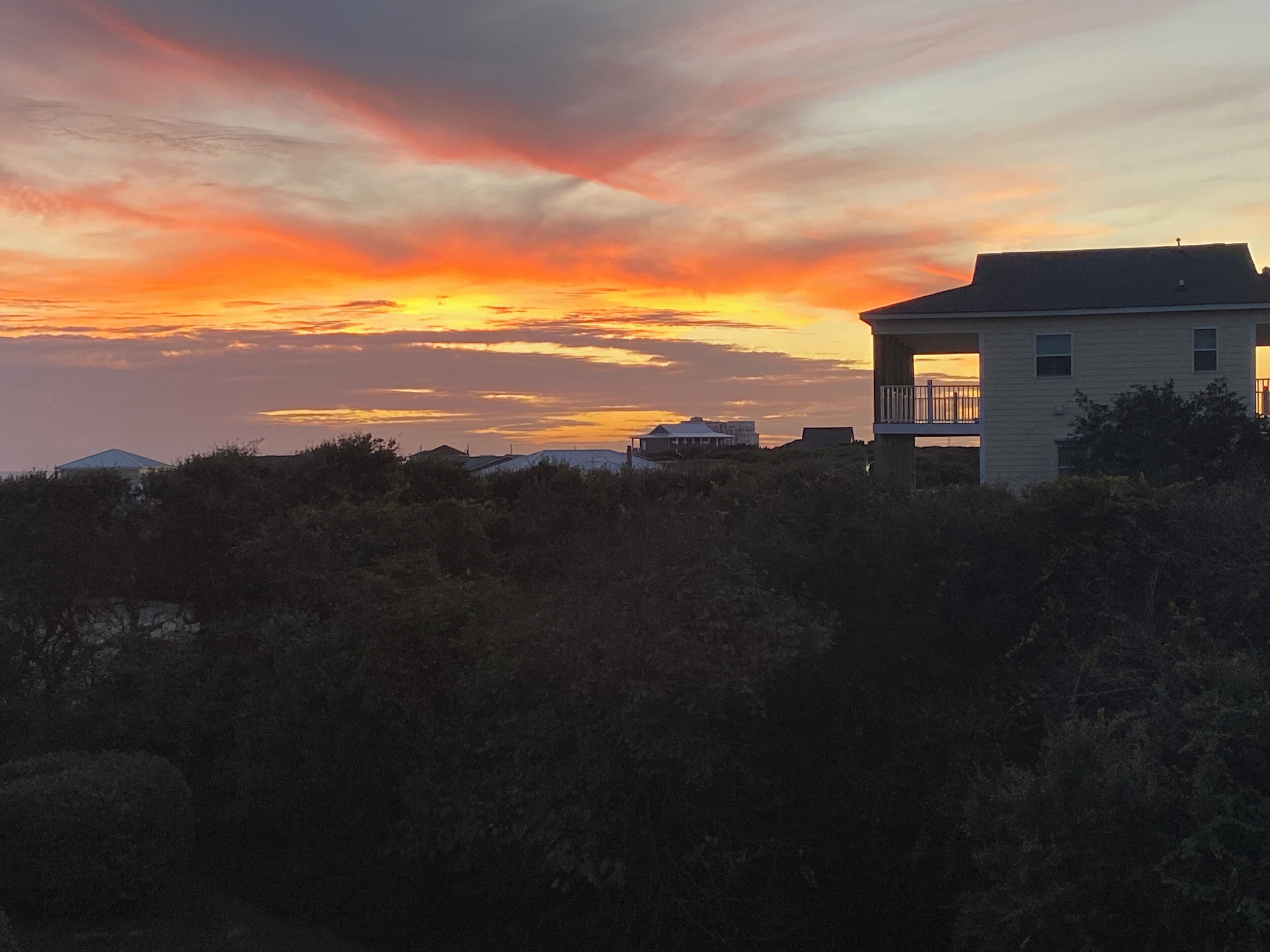 A house with a balcony, surrounded by dense shrubbery, during sunset.