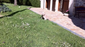Property grounds - Jolie Maison au Calme Dans un Joli Village Classé (La Roche-Canillac)