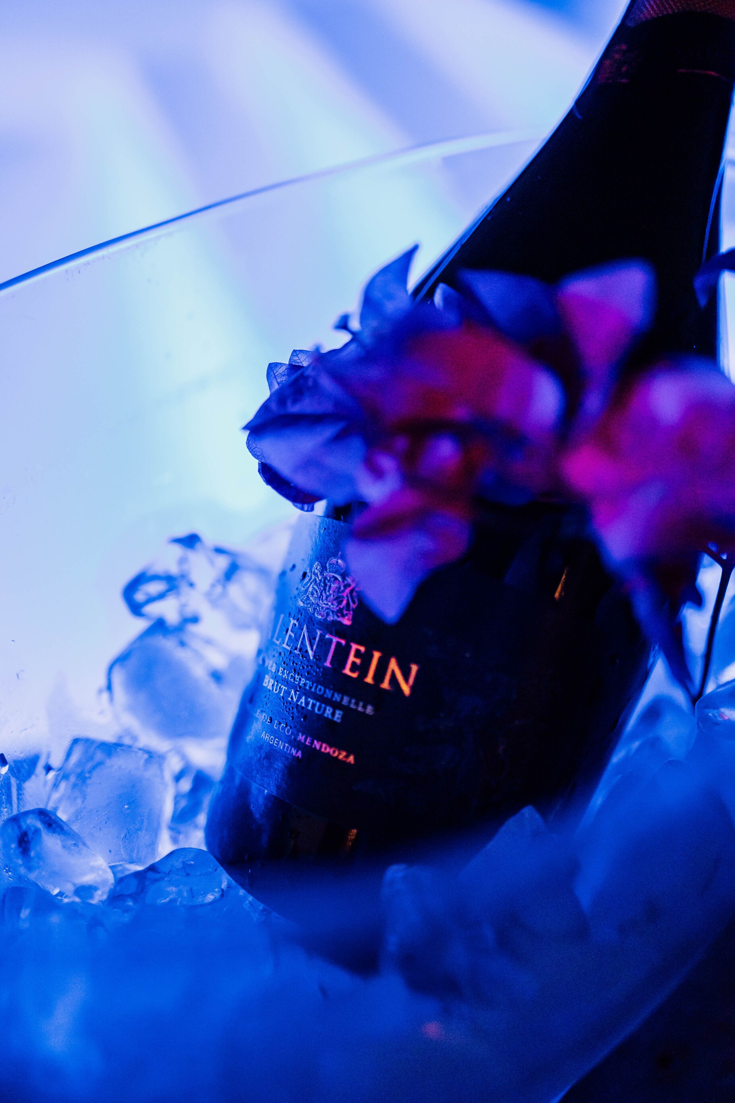 Une bouteille de champagne LENTIN, ornée d’une fleur, posée sur de la glace.