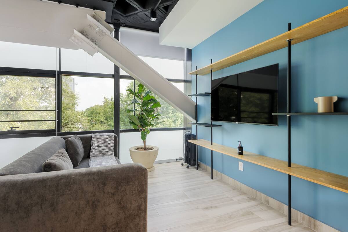 Un salon moderne avec un canapé gris, une grande plante en pot, un téléviseur fixé sur un mur bleu et une étagère en bois.
