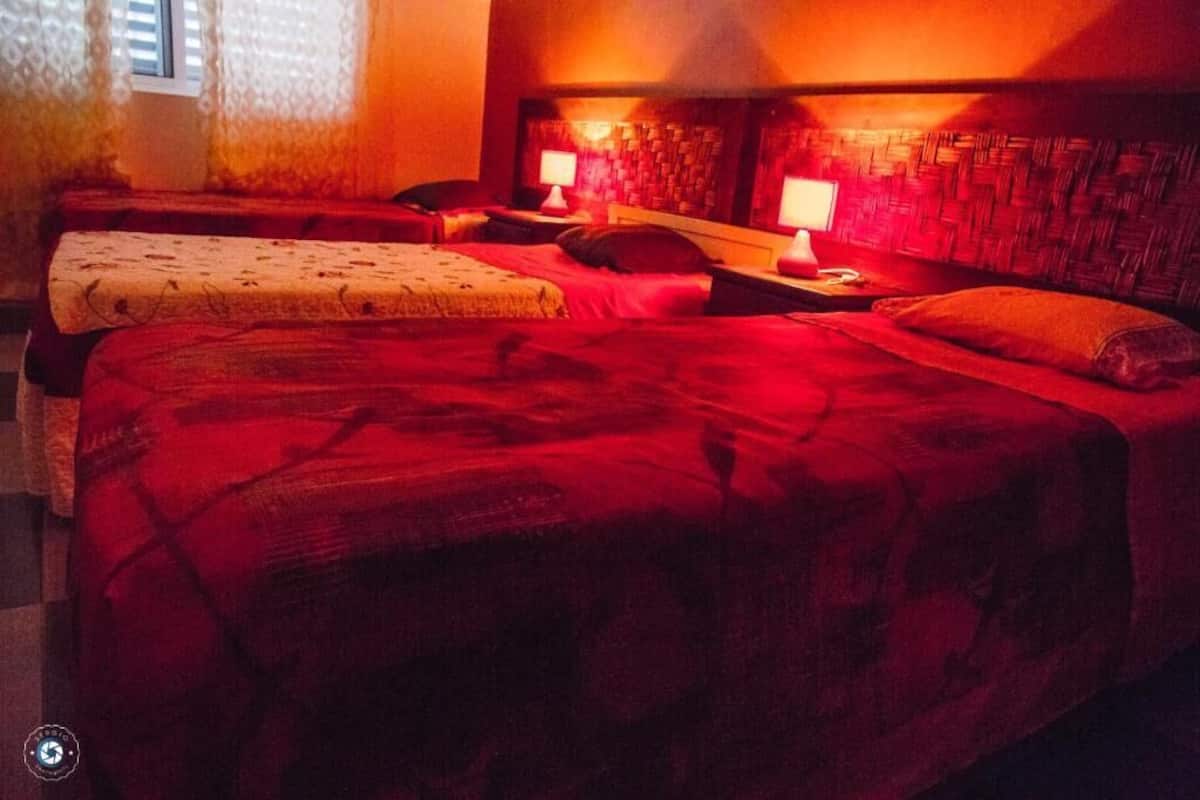 Ein Hotelzimmer mit zwei Betten, einem Kopfteil mit Webmuster, Nachttischlampen und einem Fenster mit Jalousien.