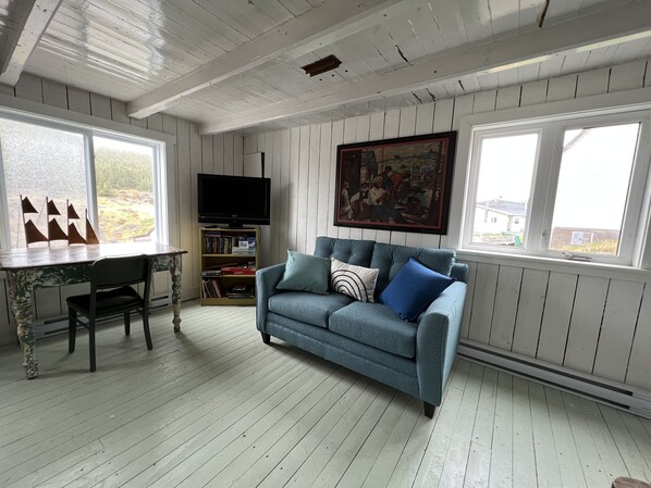 Chimenea, reproductor de DVD, libros y videoteca 