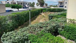 Een woonwijk met moderne huizen, een pad en weelderige beplanting.