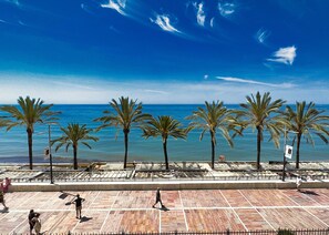 View from the terrace