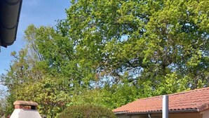 A brick outdoor oven in a backyard with a lawn, a house with a red-tiled roof, and a tree in the background. - FAMILY HOUSE FOR 6 PEOPLE (Lit-et-Mixe)