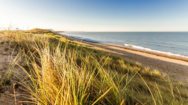 A beach with a sandy path and grassy dunes. - Dolce Vita close to the beach - Terrace & Garden (Saint-Hilaire-de-Riez)
