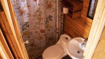 Shower, towels, soap, toilet paper