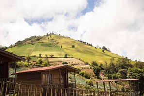Exterior - Cabañas una Mirada al Cielo 4 (Cartago)