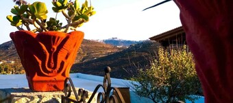 Agriolivadi View House