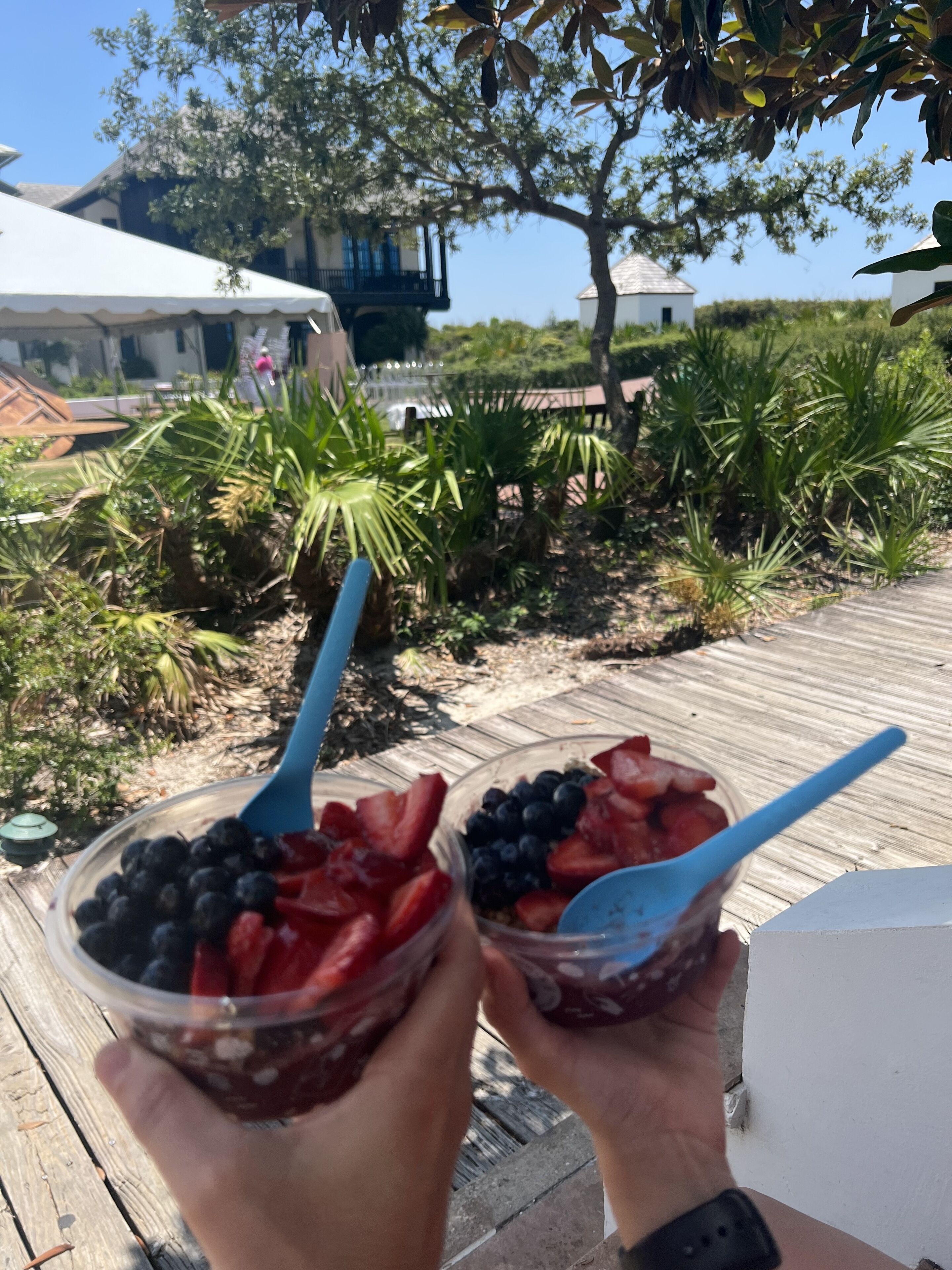 Two people holding bowls of fruit salad with a wooden deck and greenery in the background.