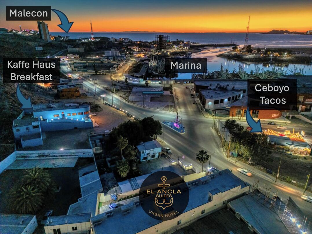 객실에서 보이는 전망