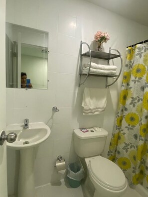 Bathroom features a sink, mirror, toilet, and shower with a towel rack and trash bin.