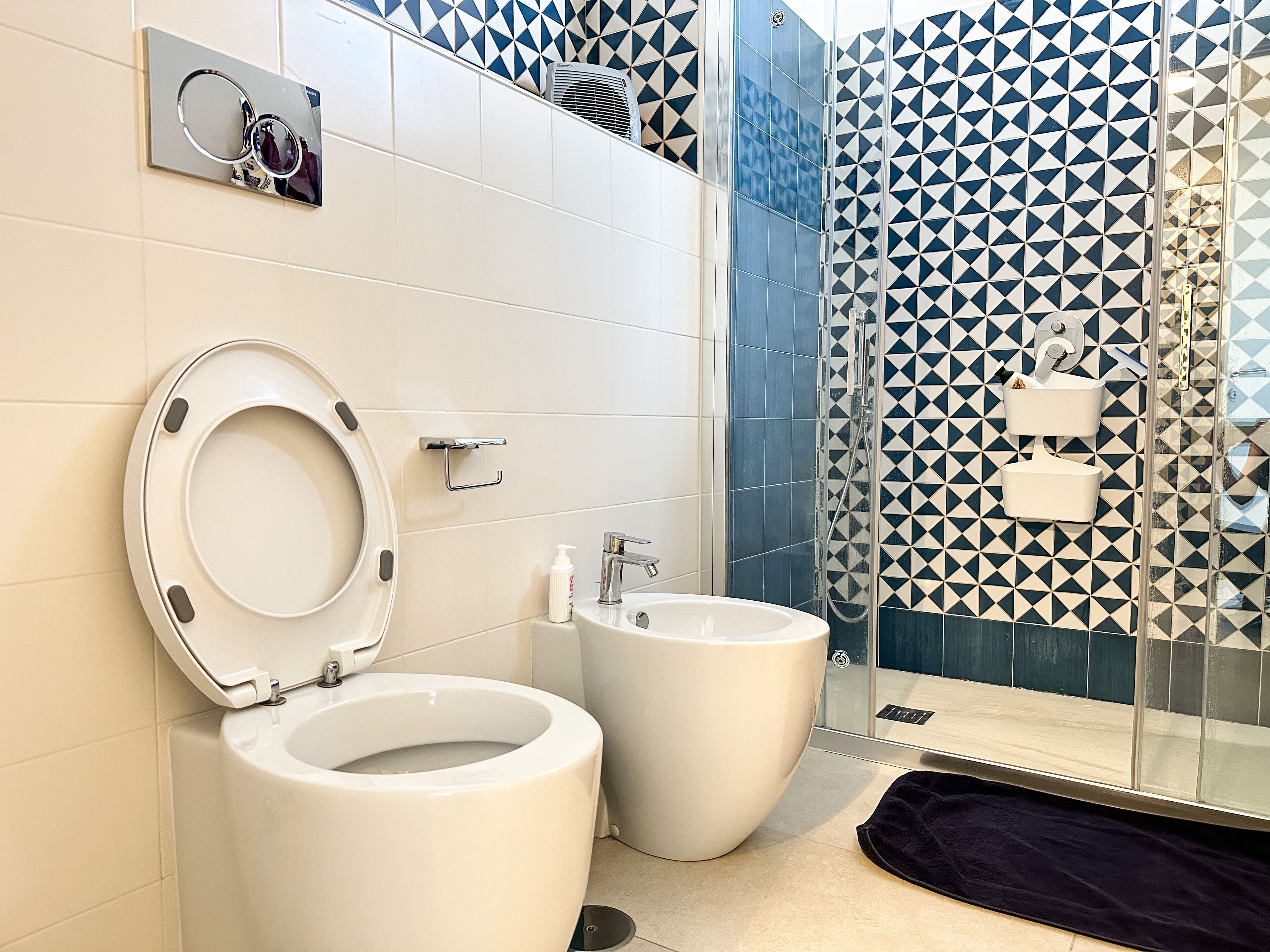 Shower, hair dryer, bidet, towels