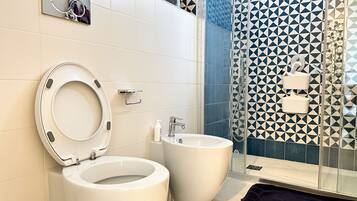 Shower, hair dryer, bidet, towels