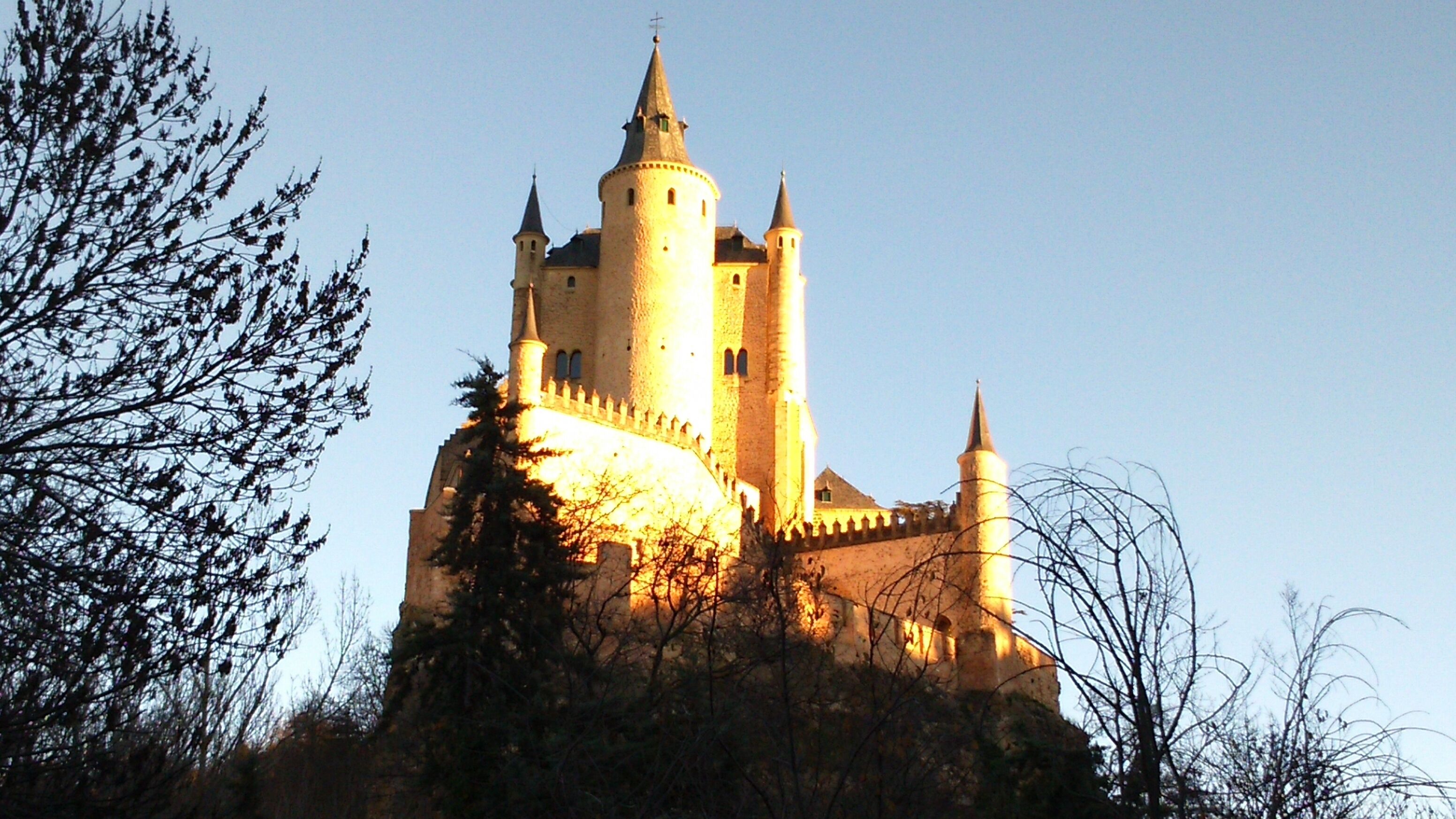 A castle with multiple towers and a prominent central tower, surrounded by trees.