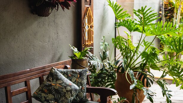 Una panca di legno con cuscini a motivi tropicali, circondata da vari vasi di piante e un elemento decorativo in metallo su una parete strutturata.