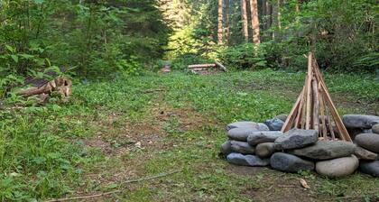 Bigfoot's Bivvy Tent Site ~8 mi to Mt. Rainier Natl Park Nisqually Entrance