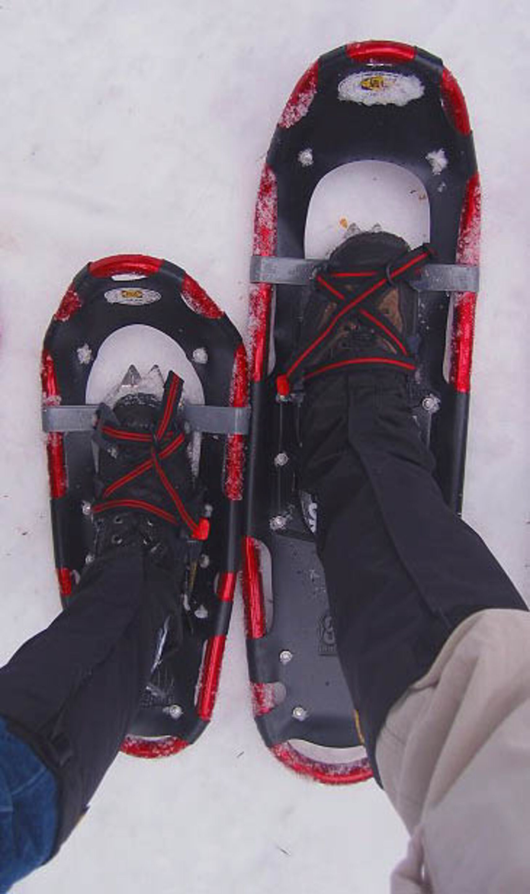 Schneeschuhe mit roten Schnürsenkeln und Metallriemen, an den Füßen einer Person befestigt.